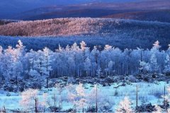 大雪节气这些方面要注意