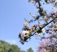 春暖花开时如何应对过敏?