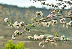 治“敏”有方 畅享春光