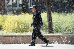 飞絮季如何有效保护自己